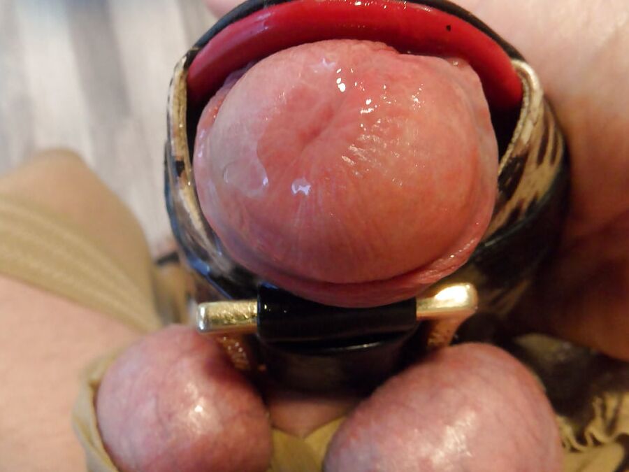 Cuming on my wifes tiger-pumps in her surgery by night