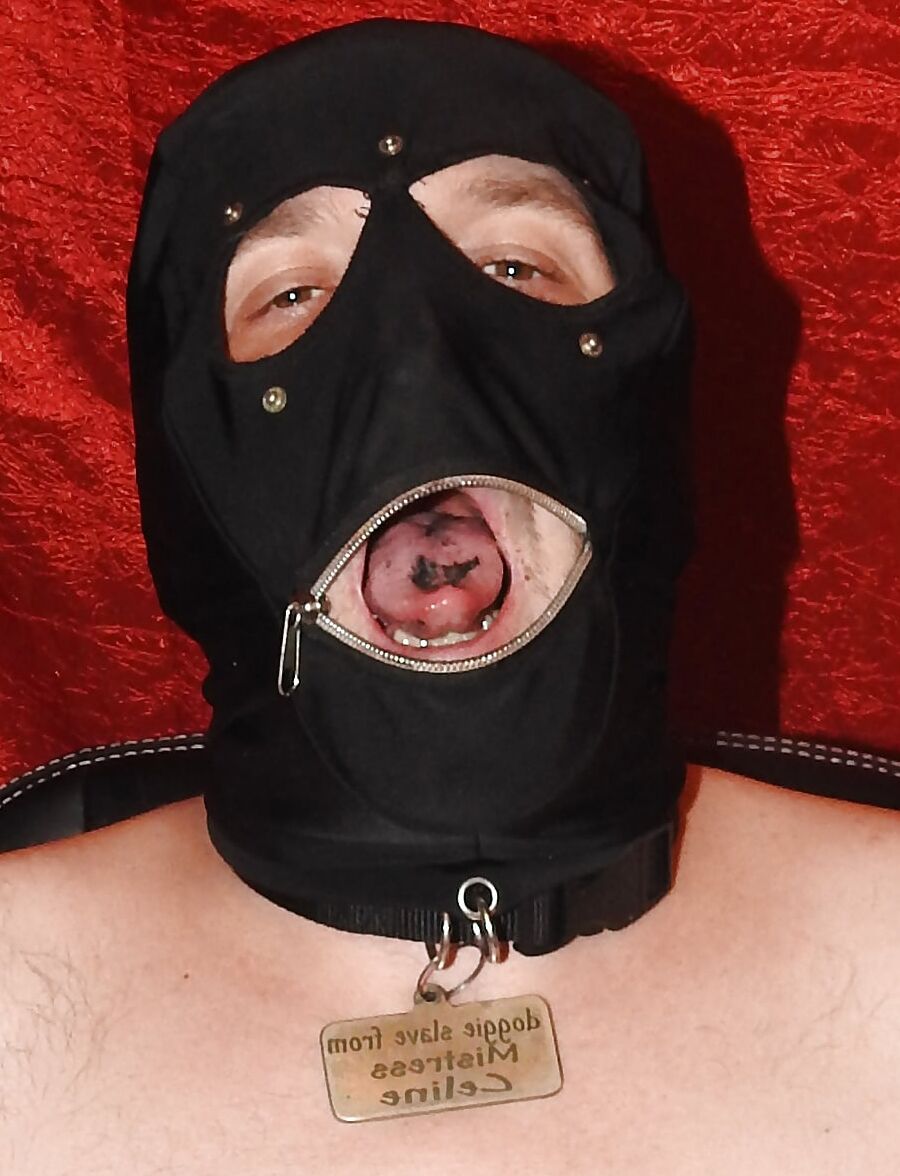 HumanAshtray 04-04-2017