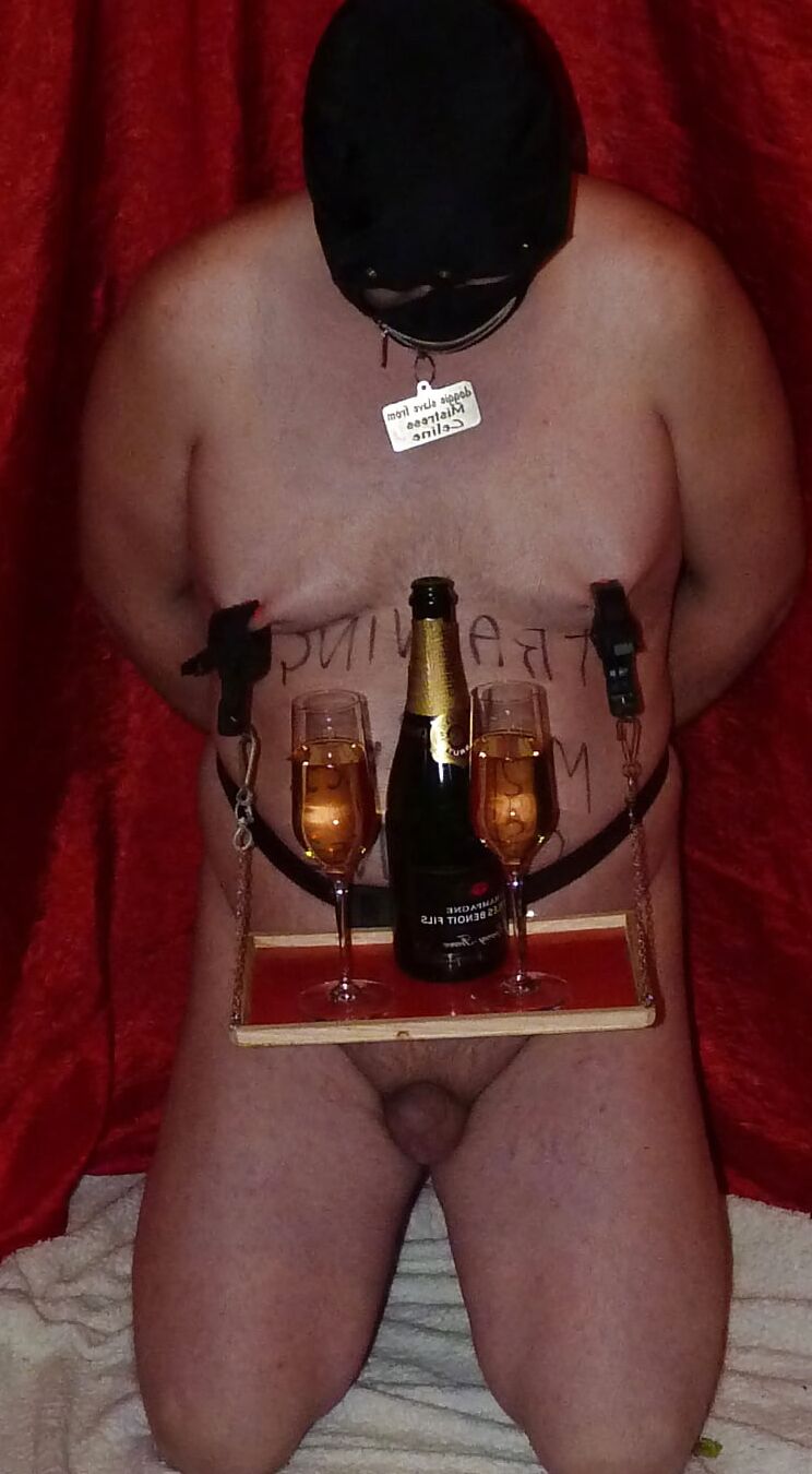 Training Day 13 - For Mistress Celine