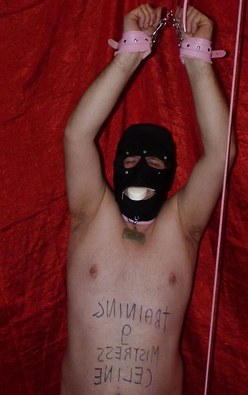 Training Day 9 - For Mistress Celine