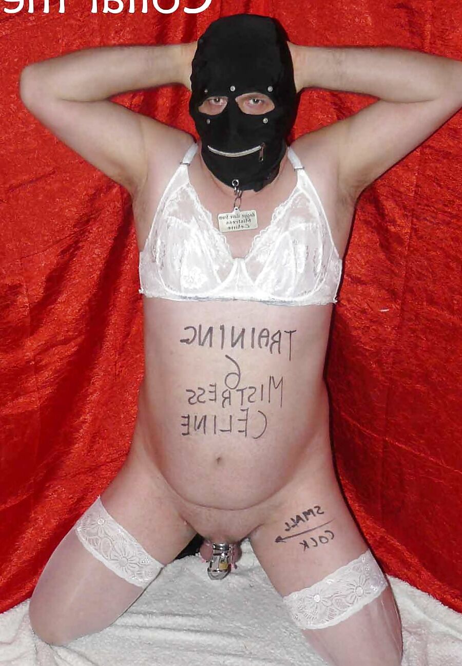 Submissive training Position & Poses