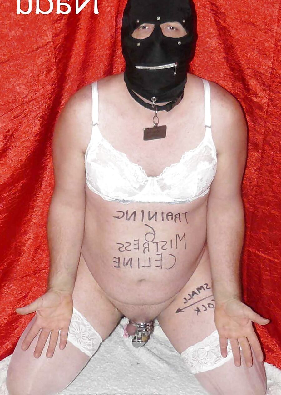 Submissive training Position & Poses
