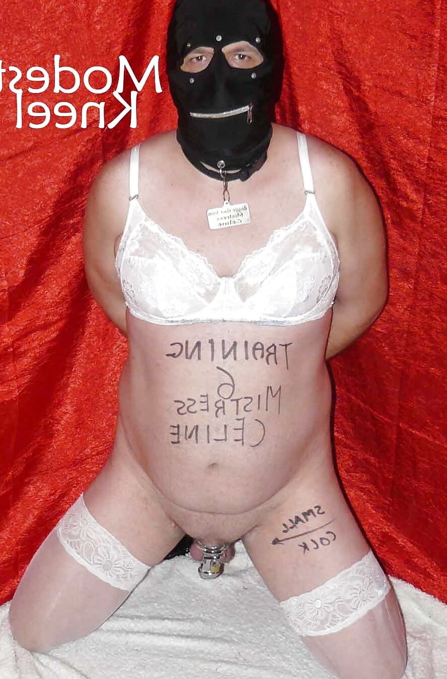 Submissive training Position & Poses