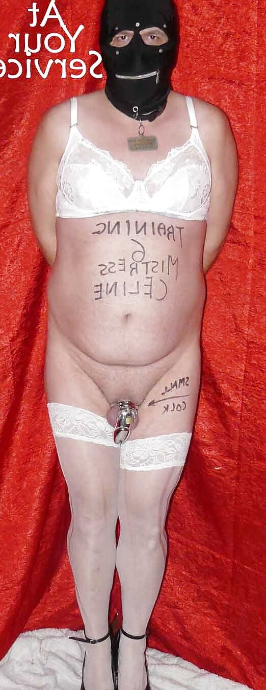 Submissive training Position & Poses