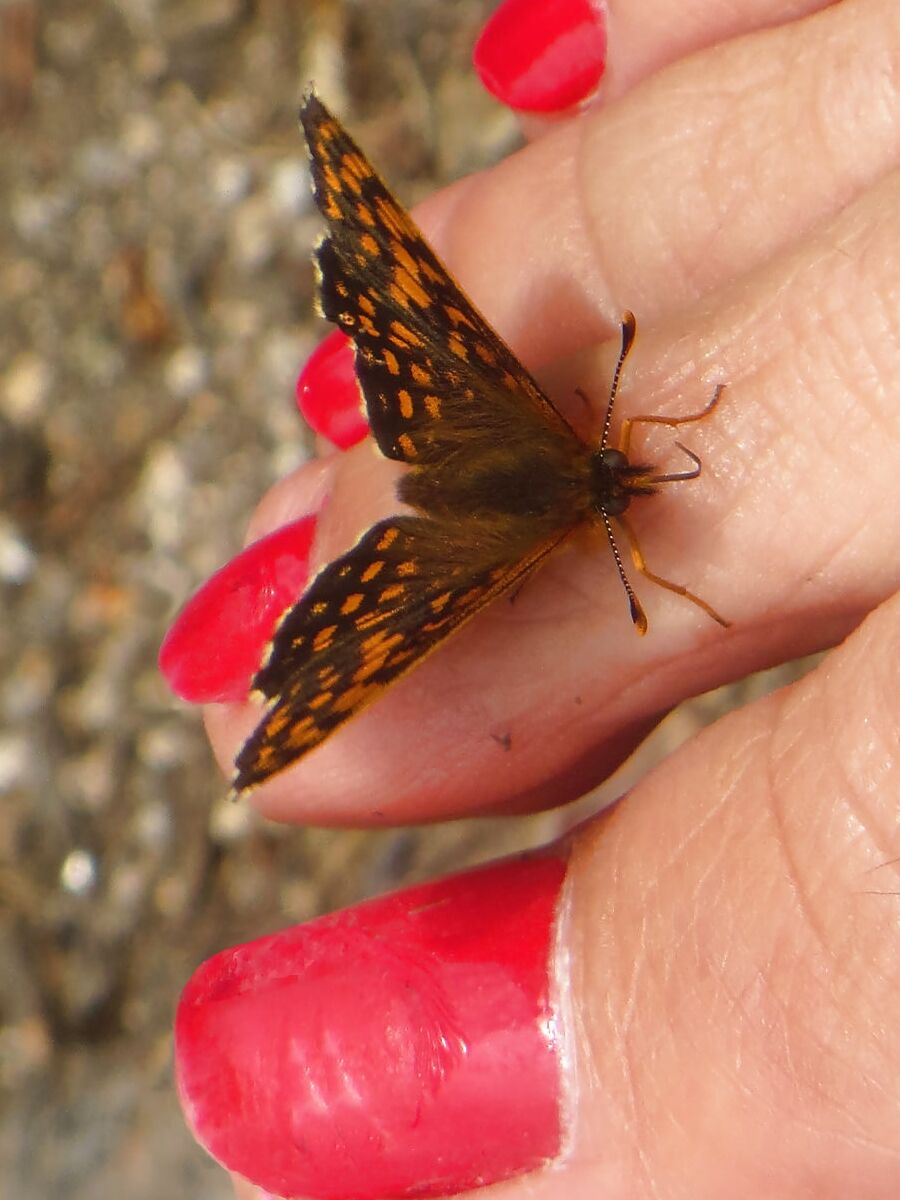 Nail varnish