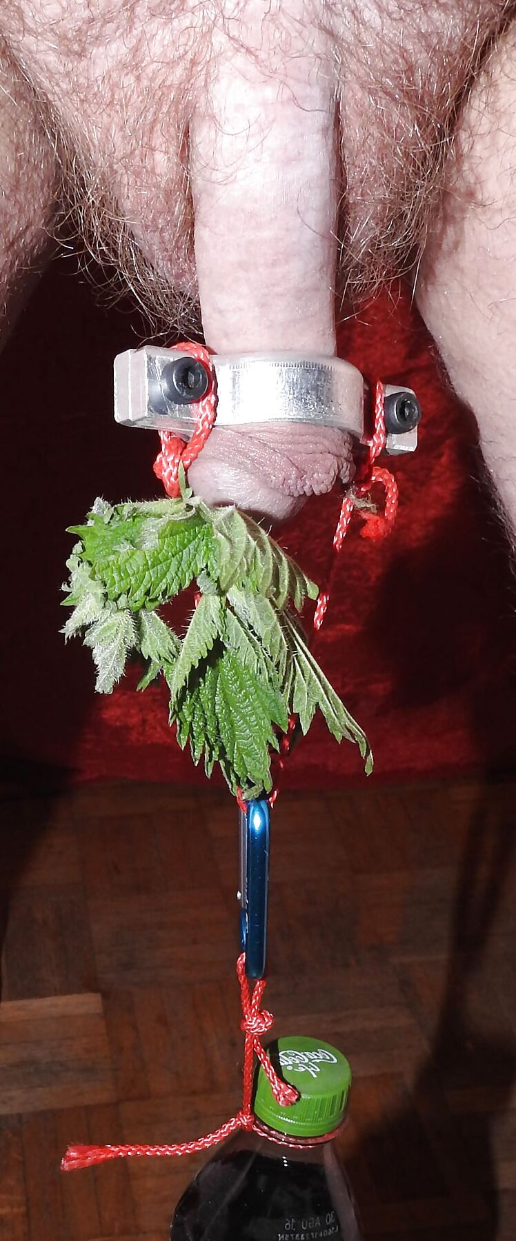 Task3 - a straw in your cock...