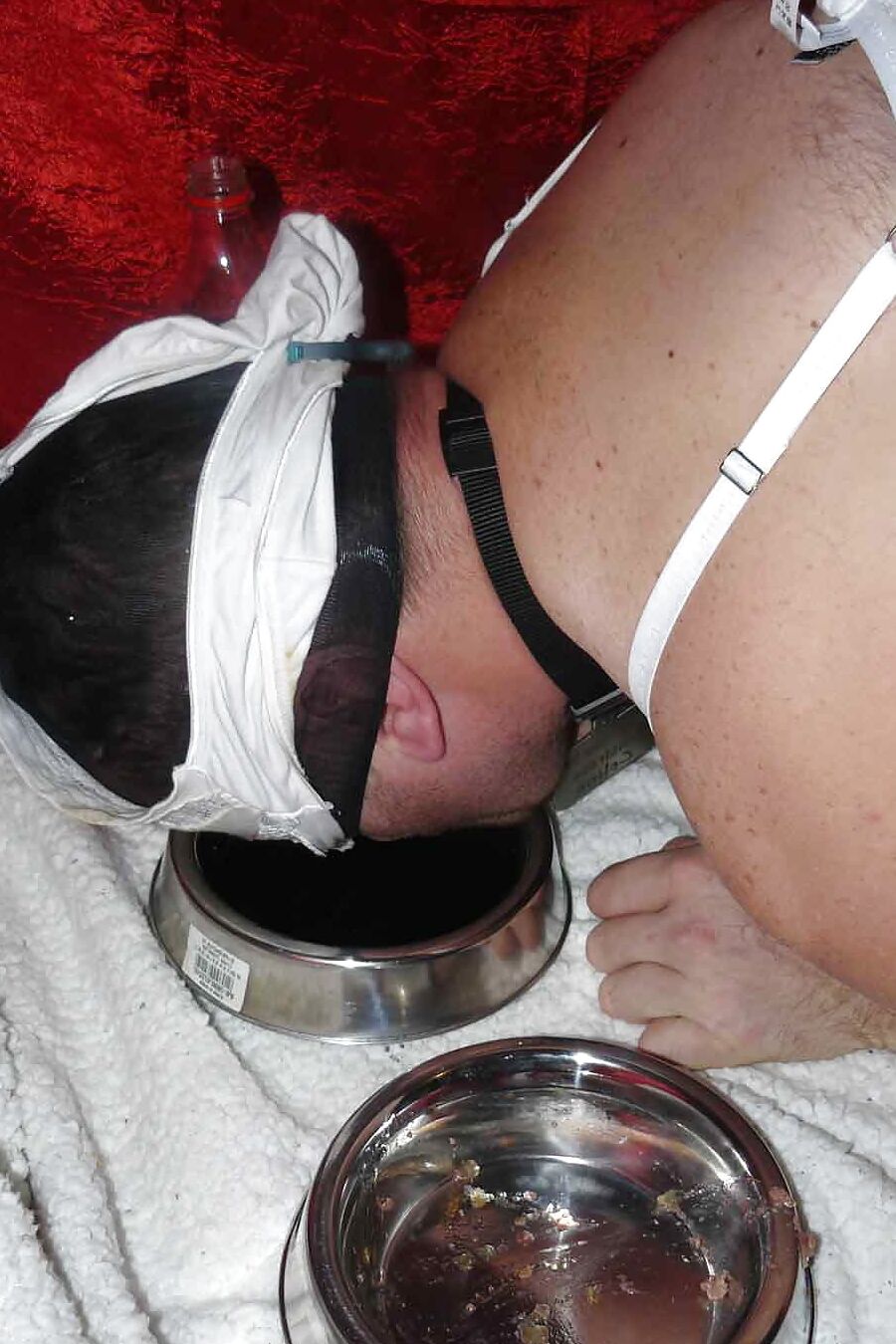 Sissy-doggie eat dogfood for Mistress Celine