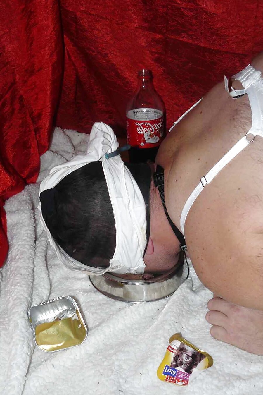 Sissy-doggie eat dogfood for Mistress Celine