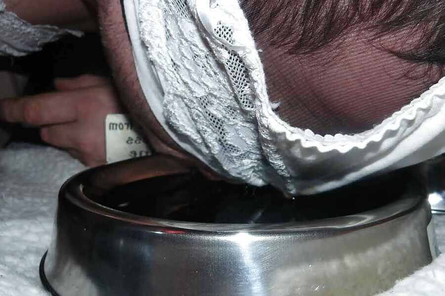 Sissy-doggie eat dogfood for Mistress Celine