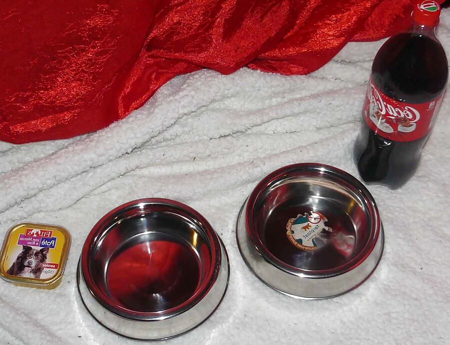 Sissy-doggie eat dogfood for Mistress Celine