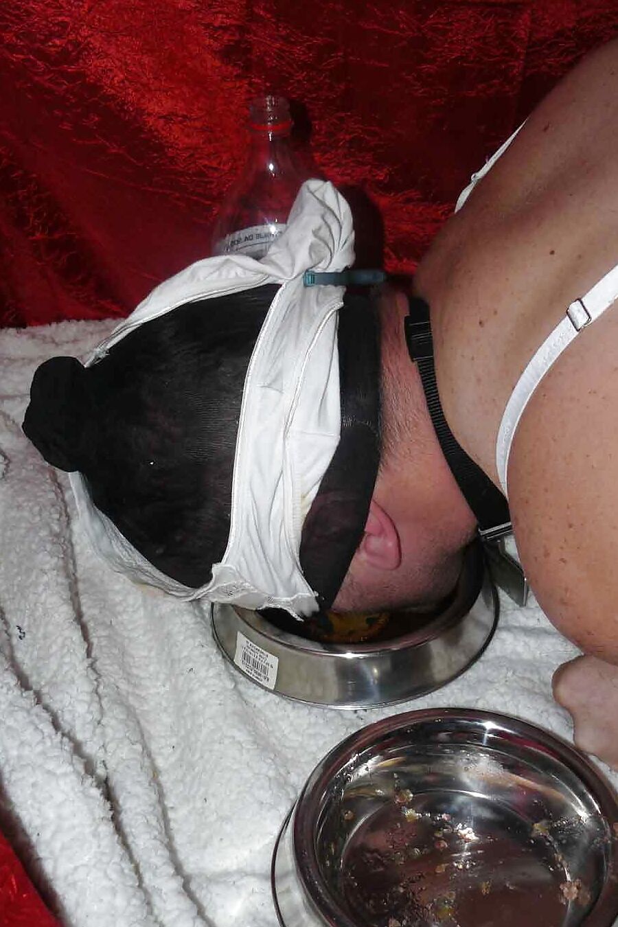 Sissy-doggie eat dogfood for Mistress Celine