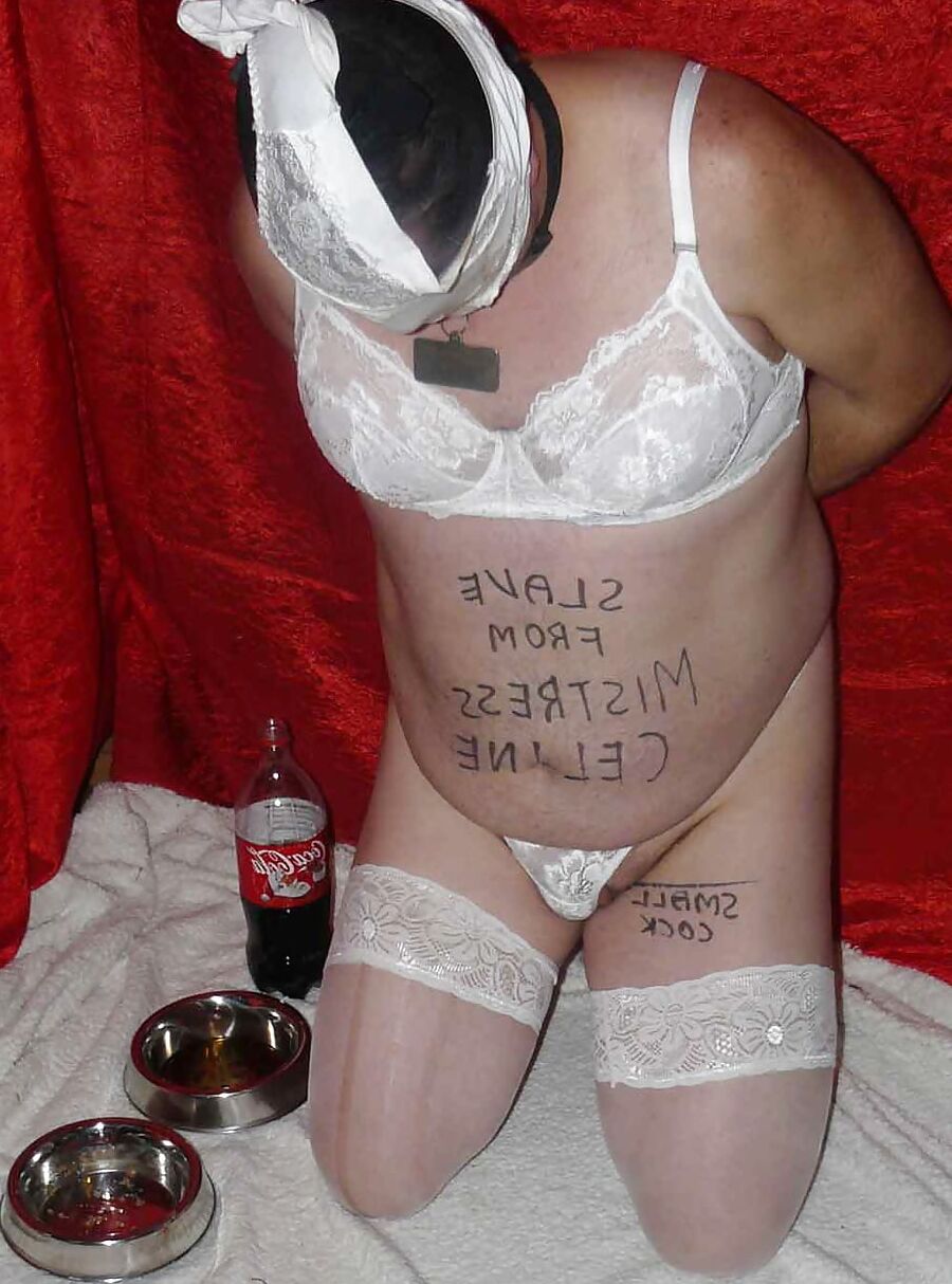 Sissy-doggie eat dogfood for Mistress Celine