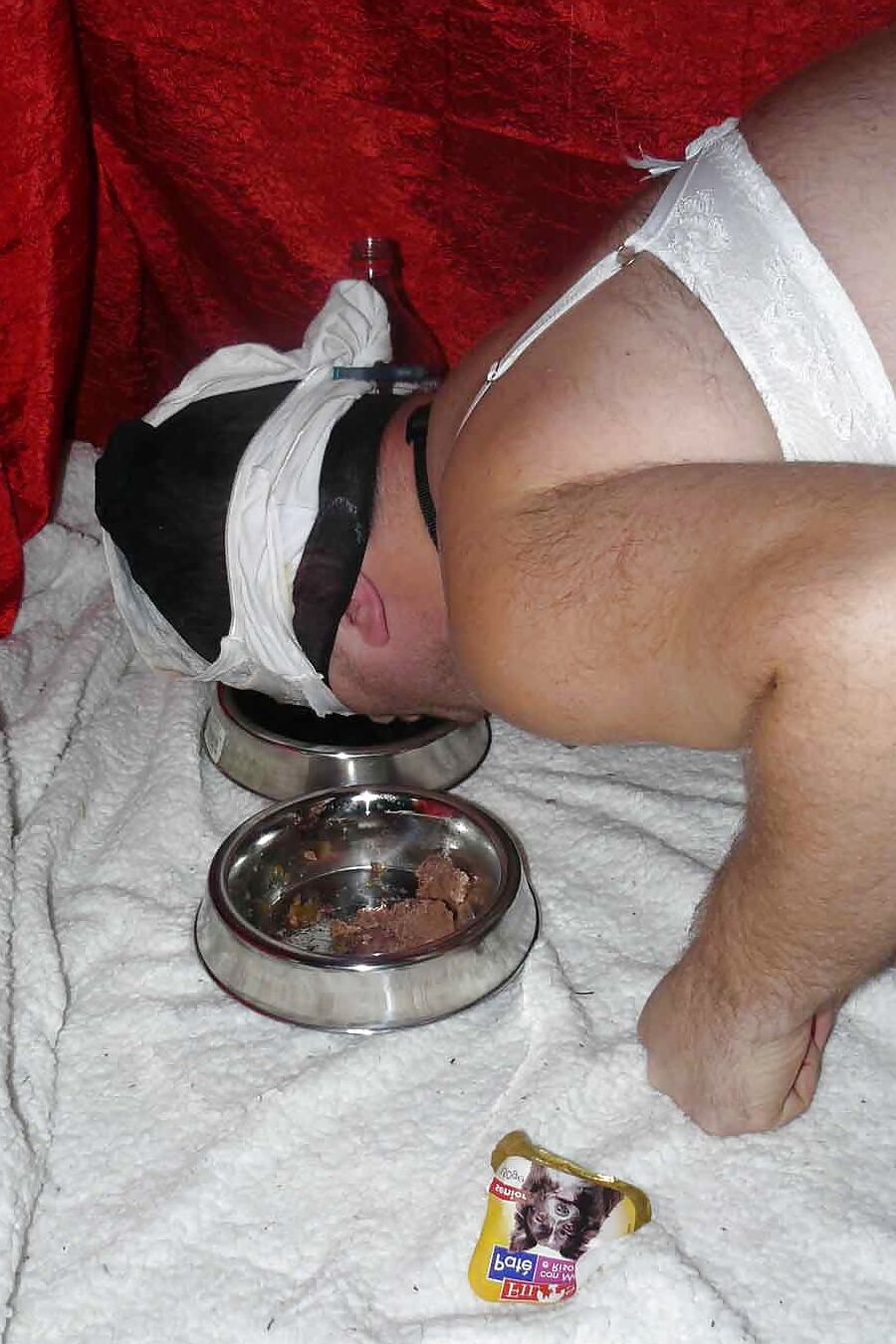 Sissy-doggie eat dogfood for Mistress Celine