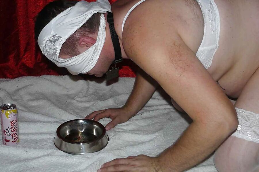 Sissy-doggie drink for Mistress Celine