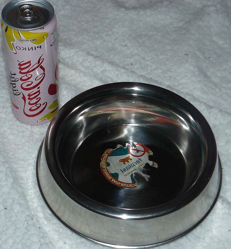 Sissy-doggie drink for Mistress Celine