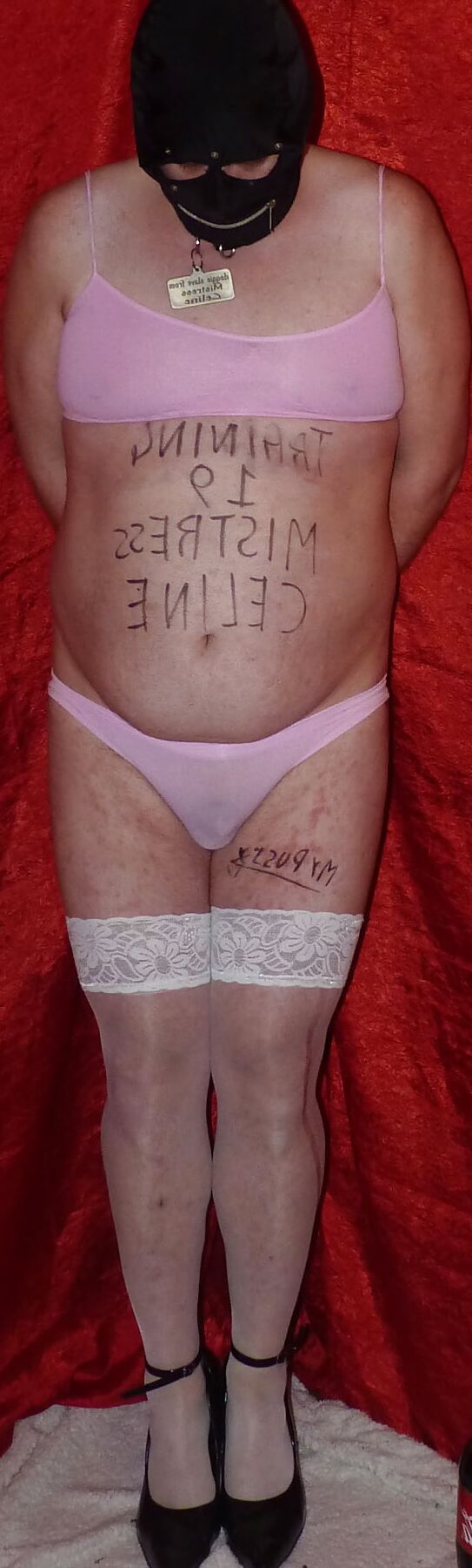 Training Day 19 - For Mistress Celine