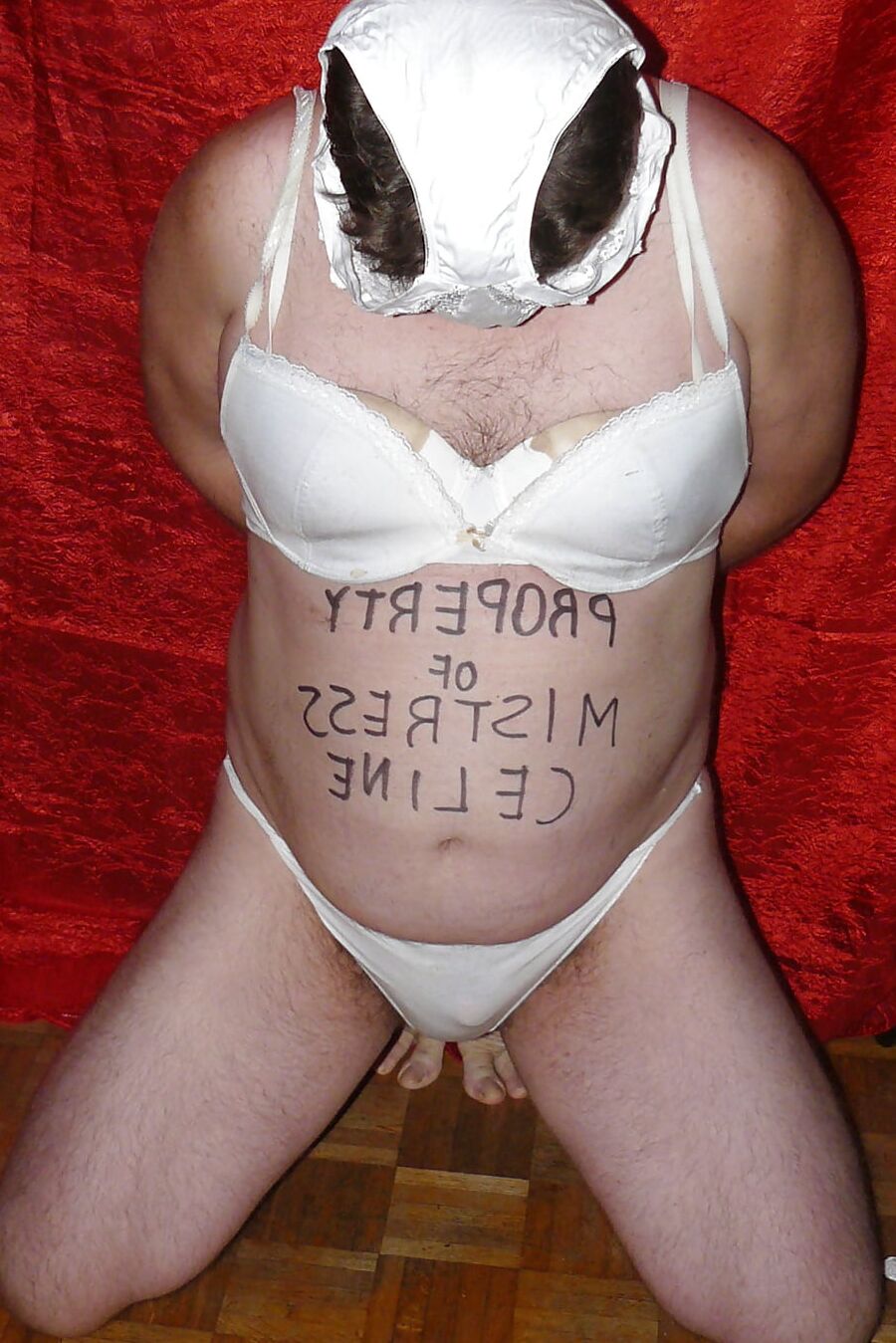 My Mistress Celine allows you to cum!