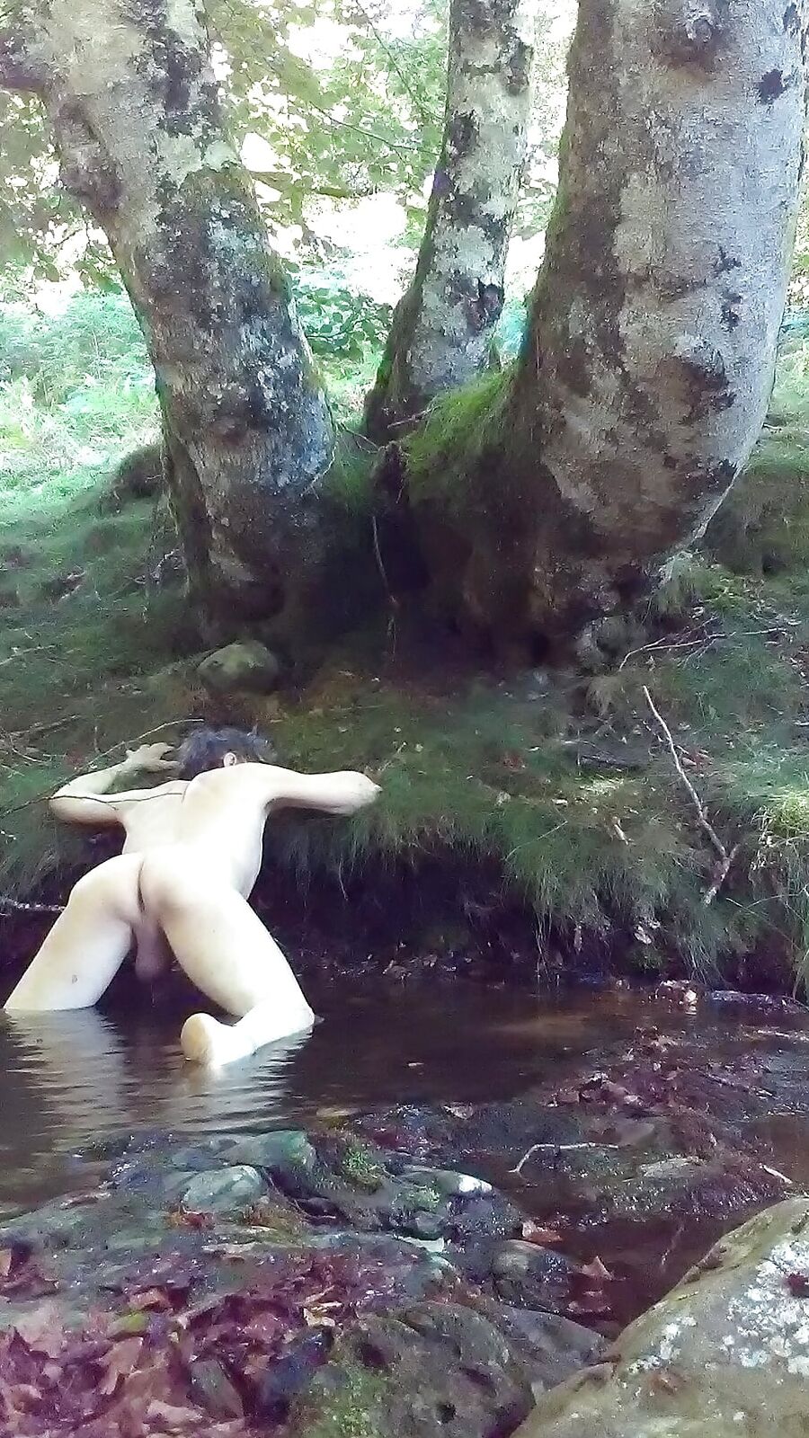 Dame nature