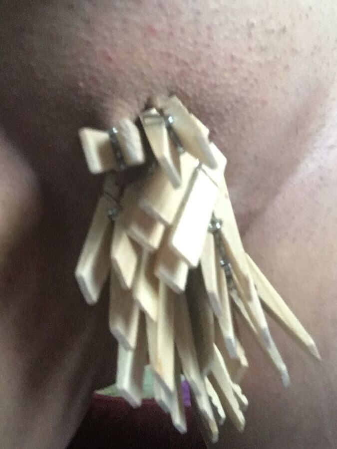 Cloths pin Tits