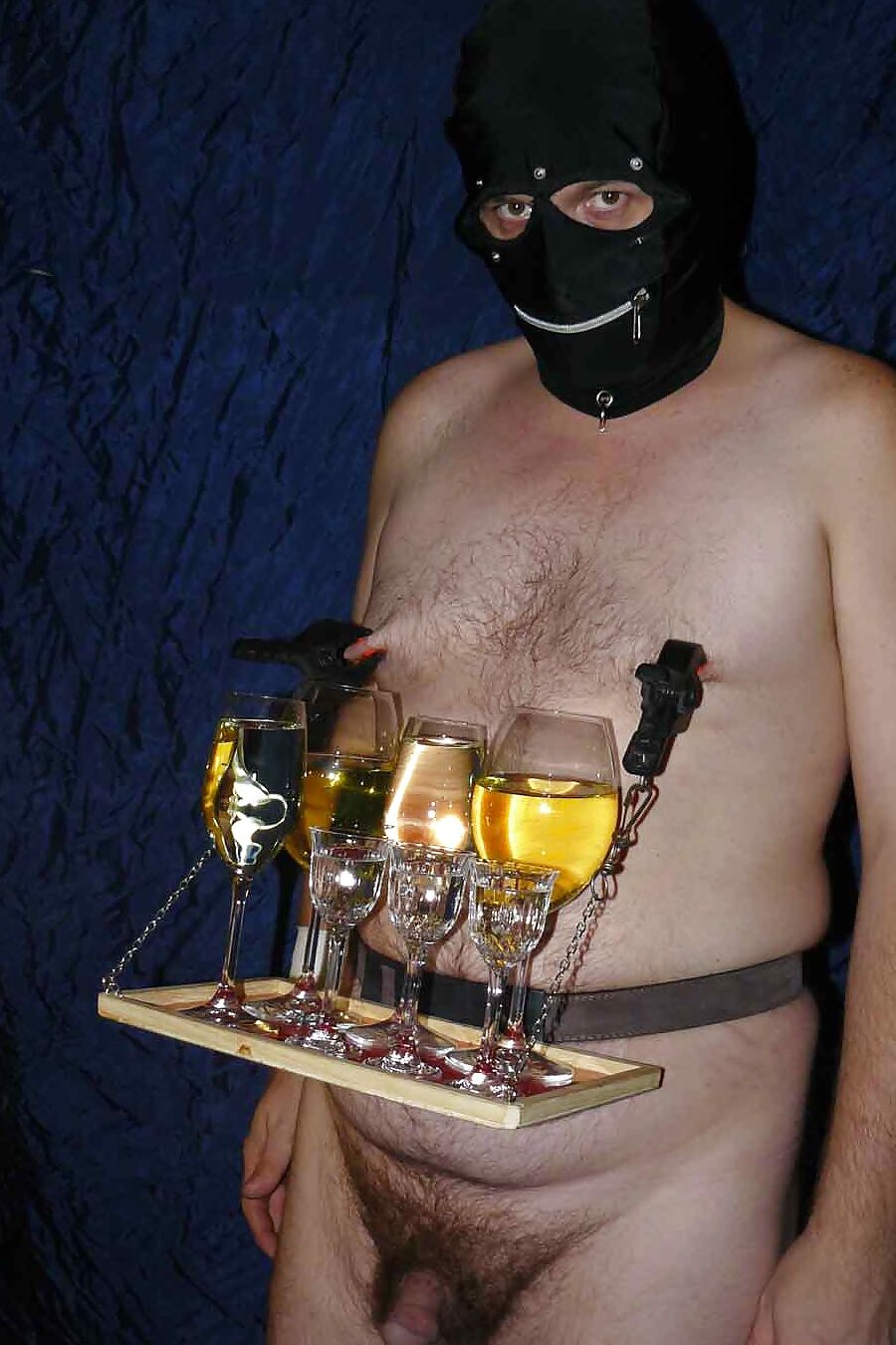 Party Servilism