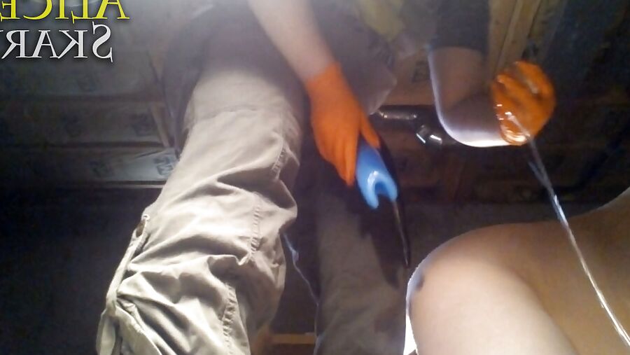 BHS: Egg Implantation Oviposition