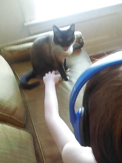 Nina chillin out.