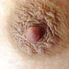 Tits. Tits and More Tits...