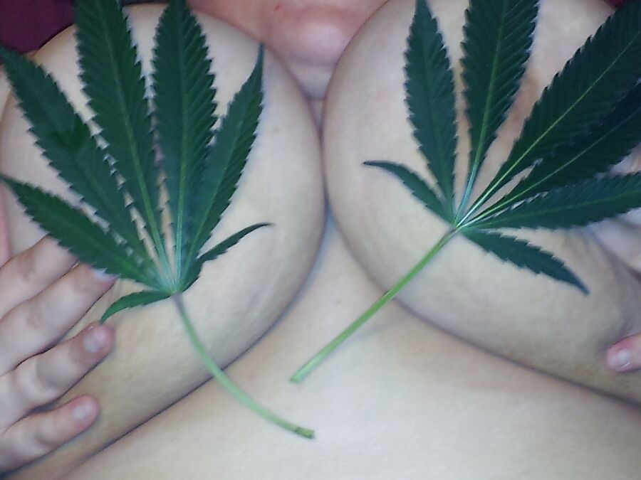 Happy 420 !!!