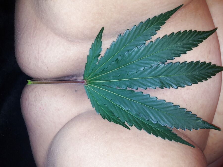 Happy 420 !!!