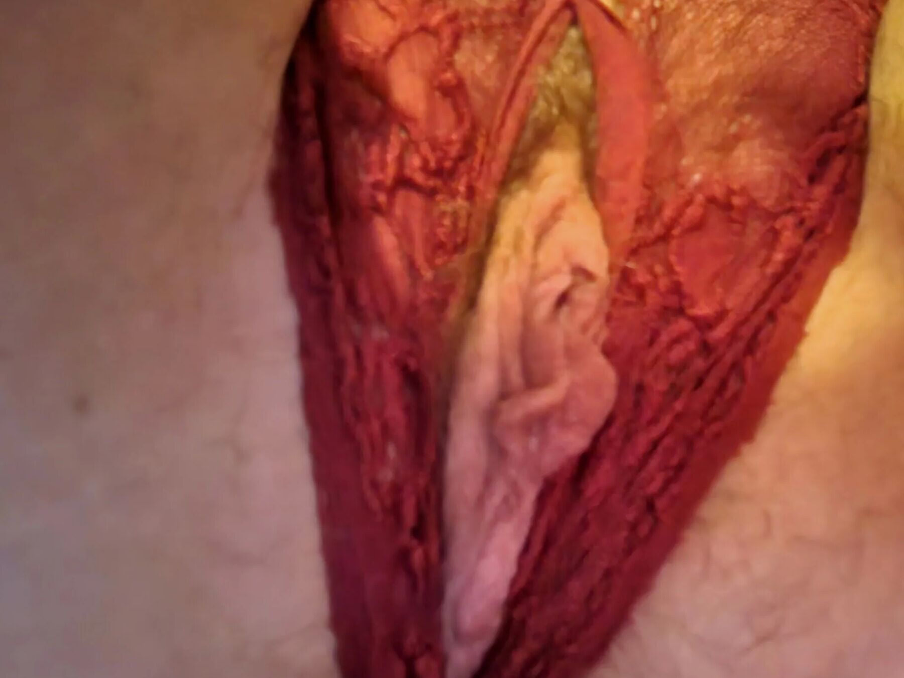 Wet & Horny