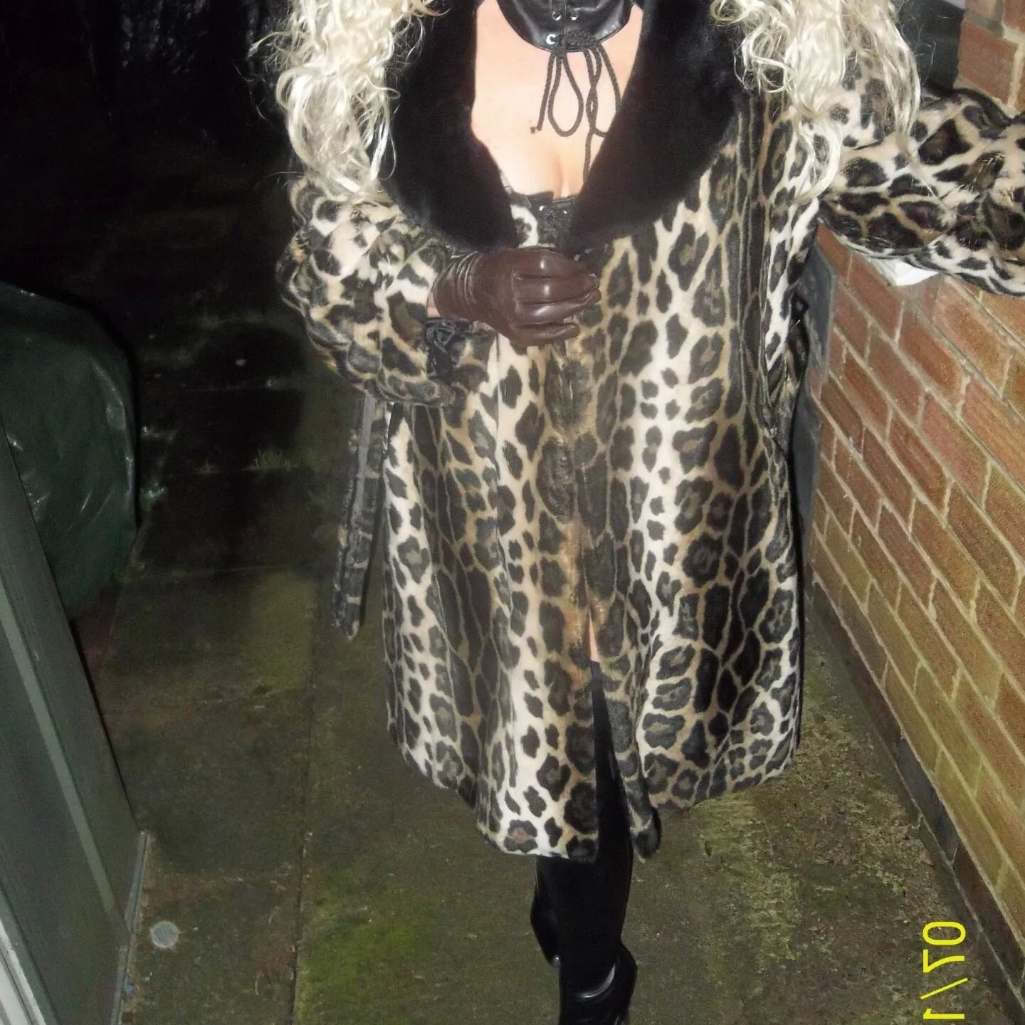 SHIRLEY SLUT 317