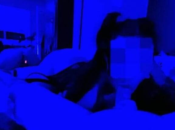 Anal Queen hot wife