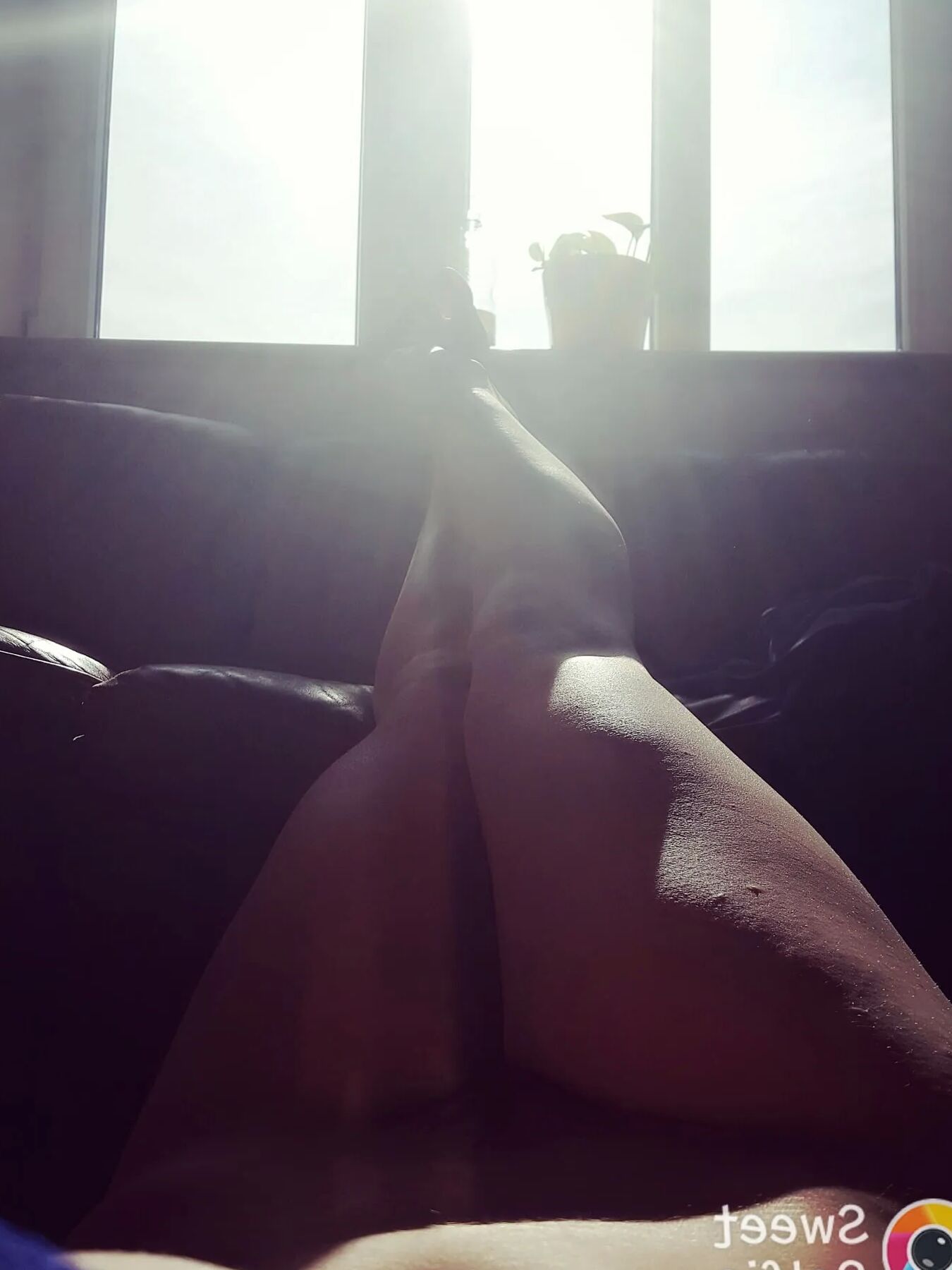 Feet