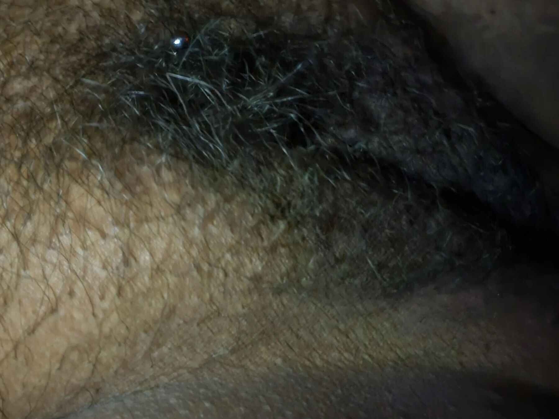 Pussy