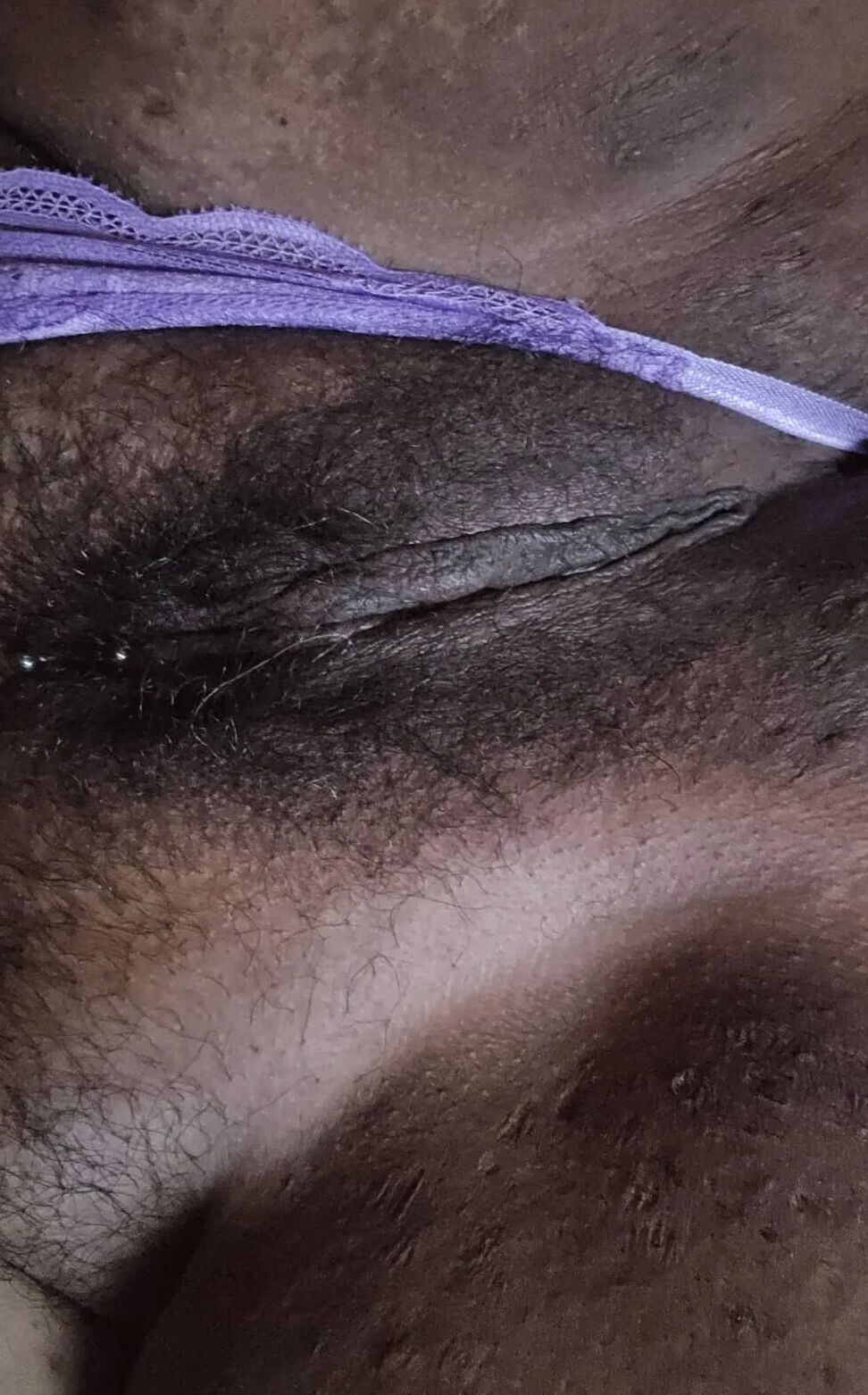 Pussy