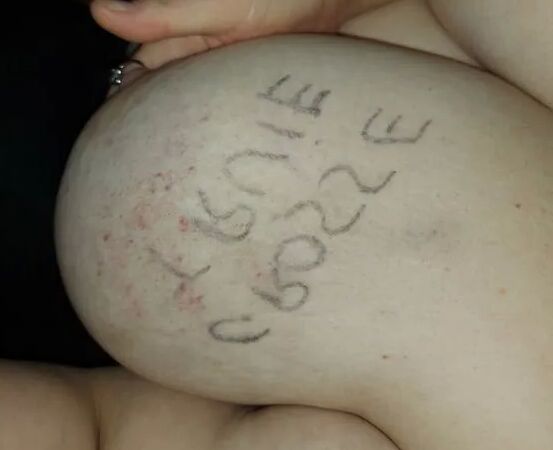 Mes mamelles, la toile préférée de mon Maitre