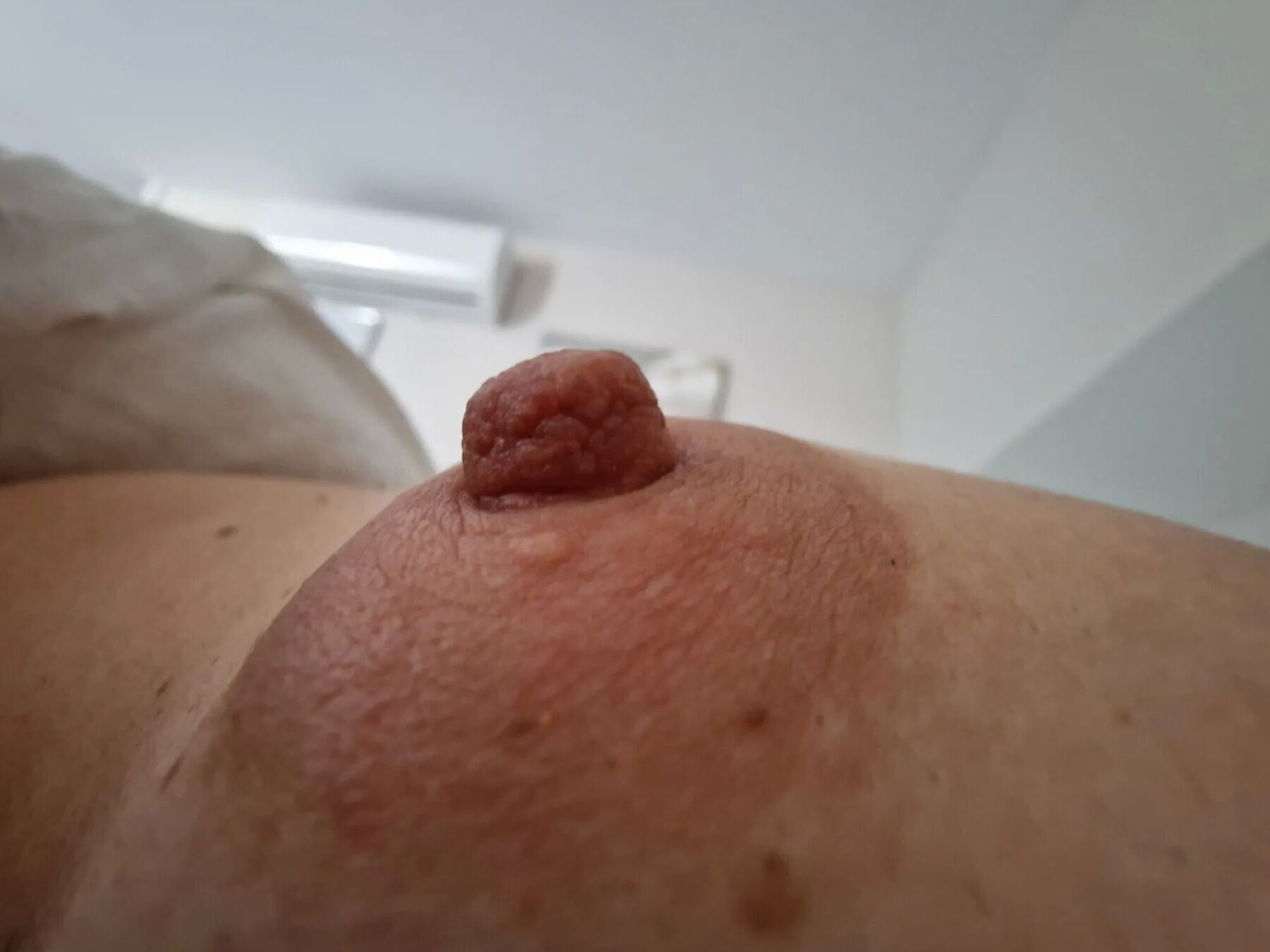 Nipples