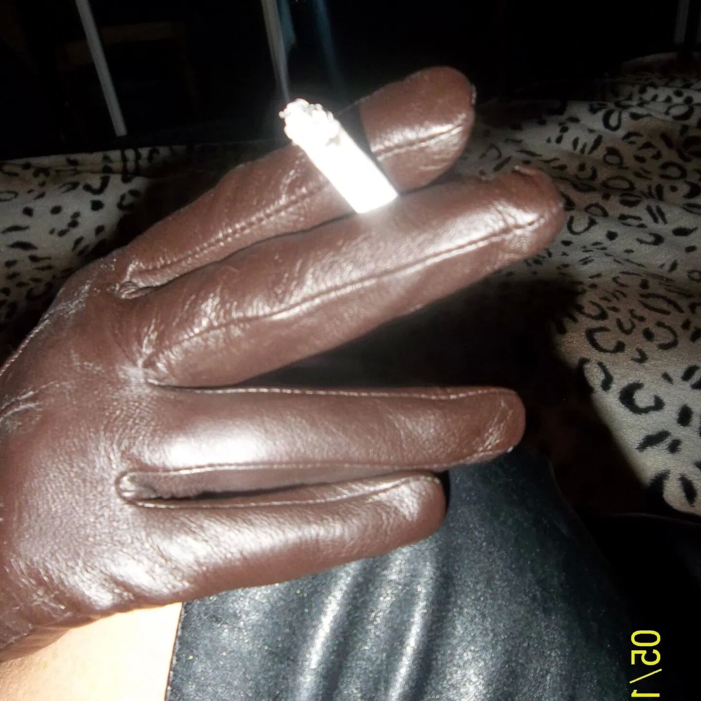 SHIRLEY SLUT 291