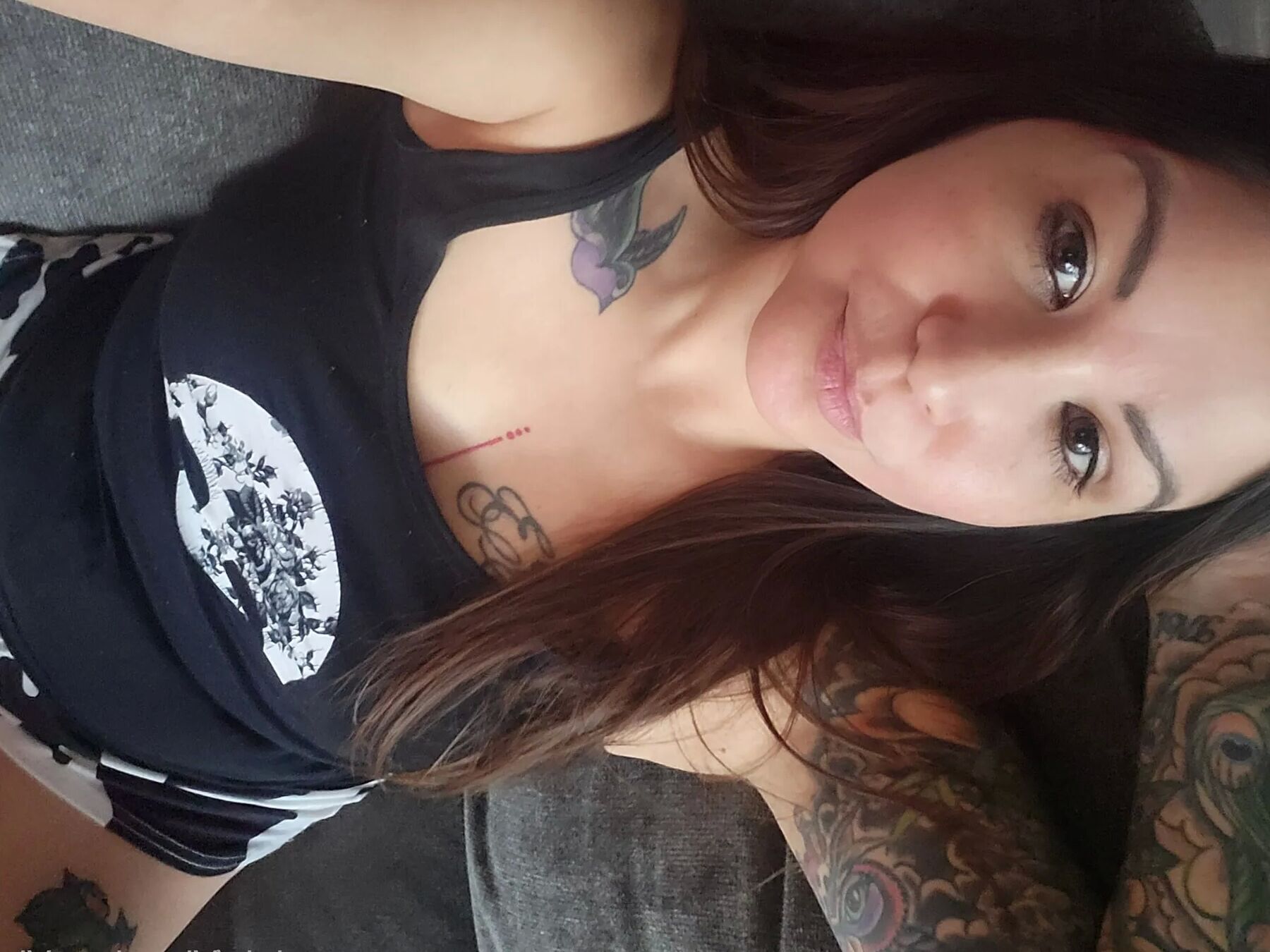 Vivacious Vixen  Free Photos