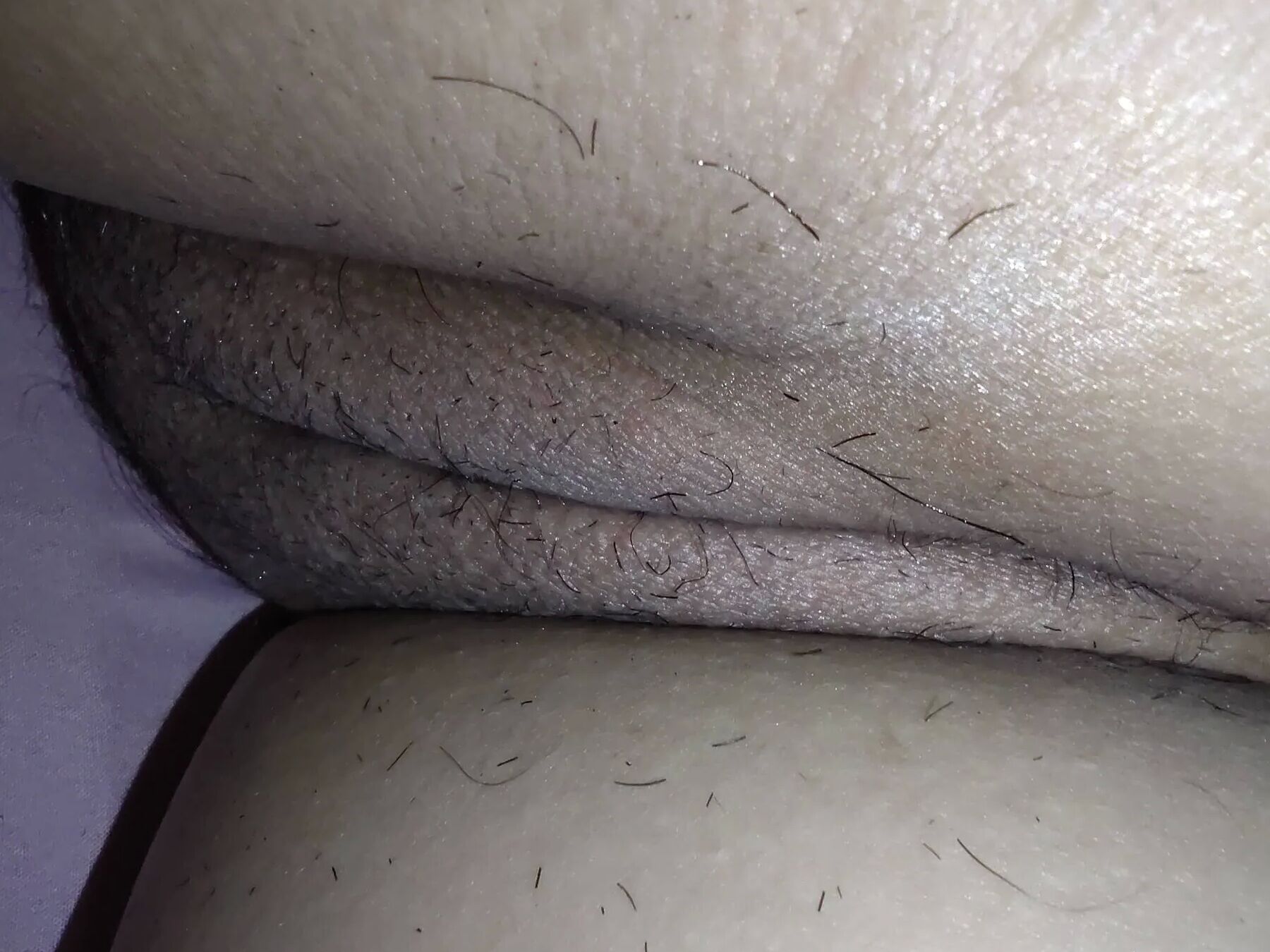 COÑO SIN PELO