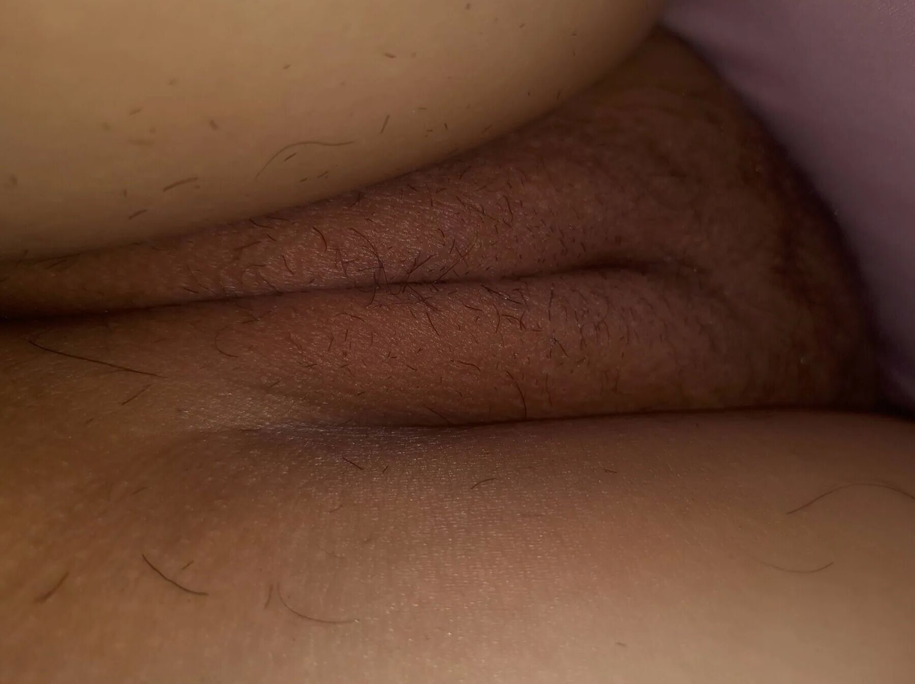 COÑO SIN PELO
