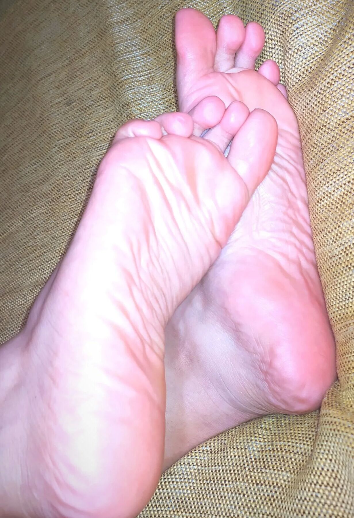 Shulamy Free Photos