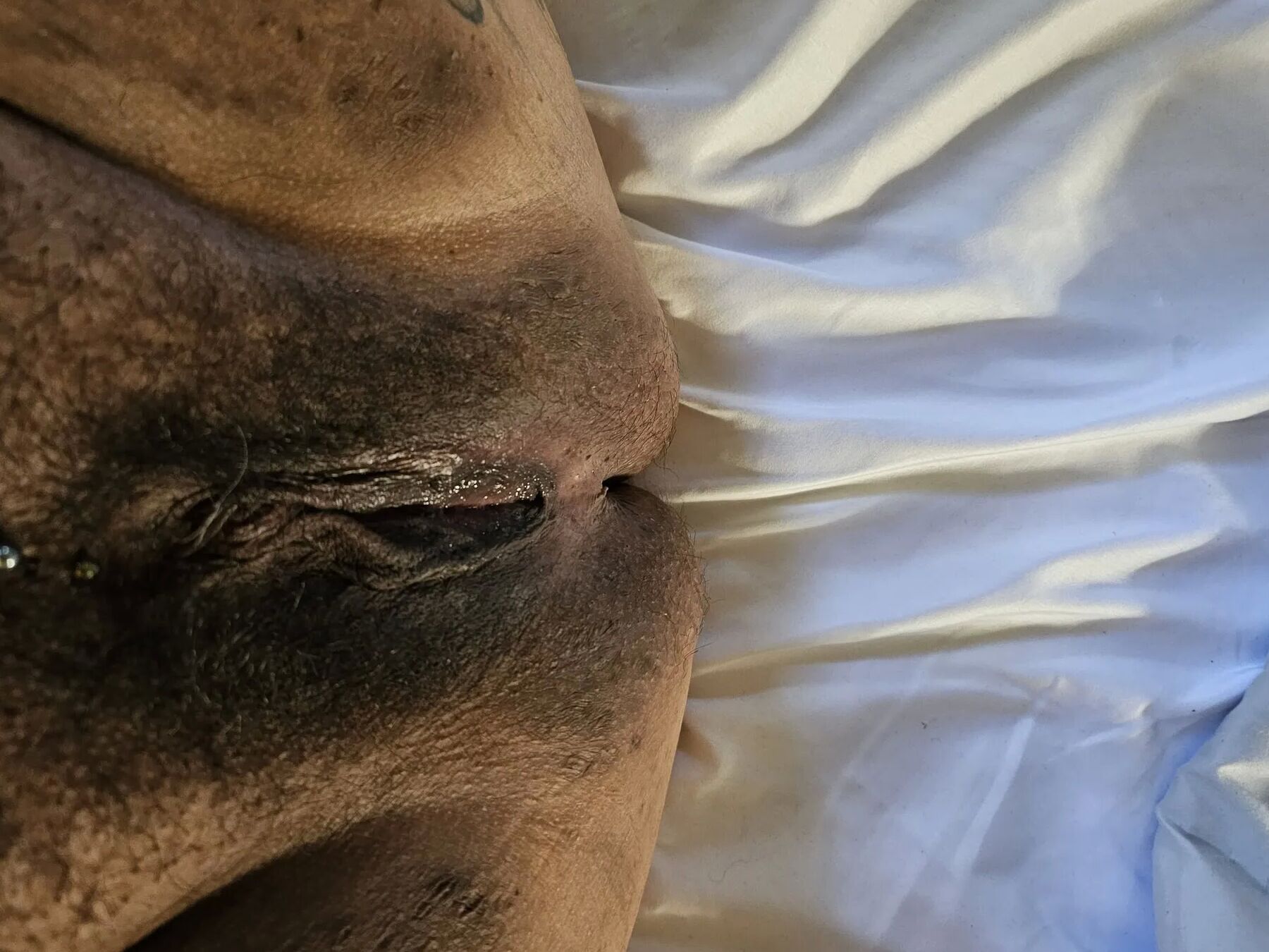 My Wife's Pussy