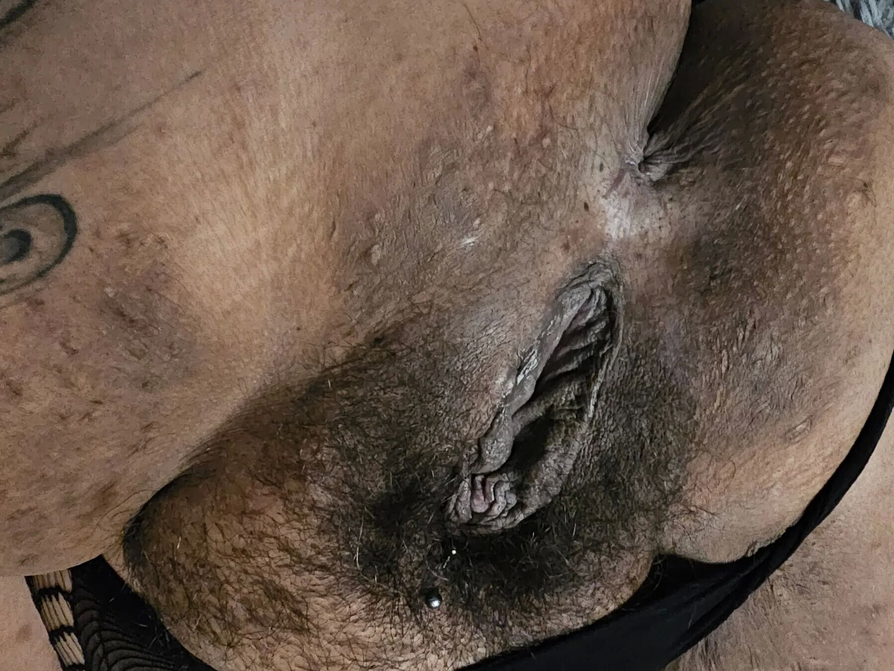 My Wife's Pussy