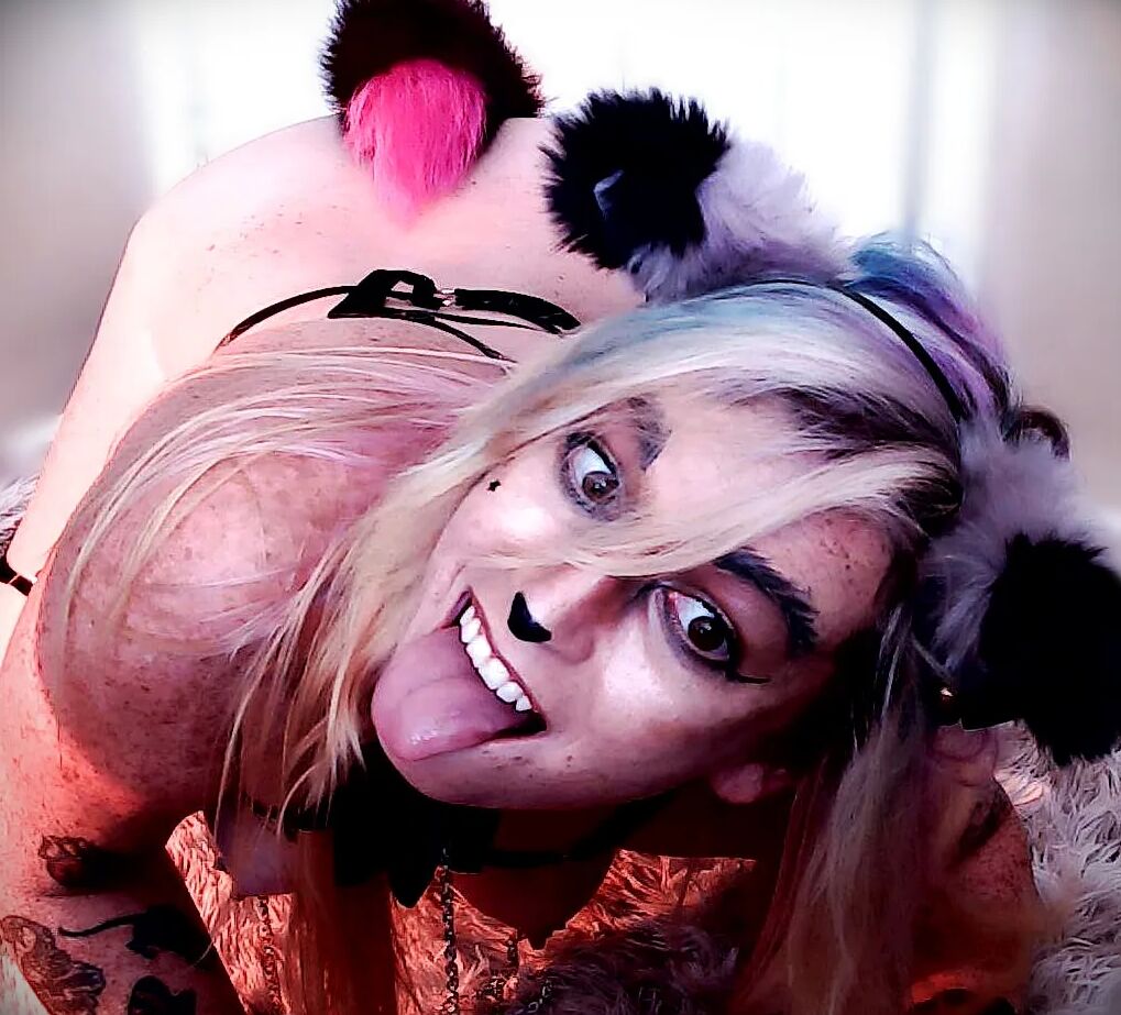 New
