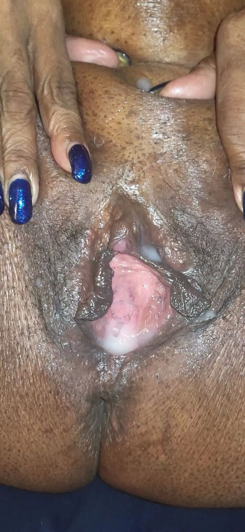 Cream Pies