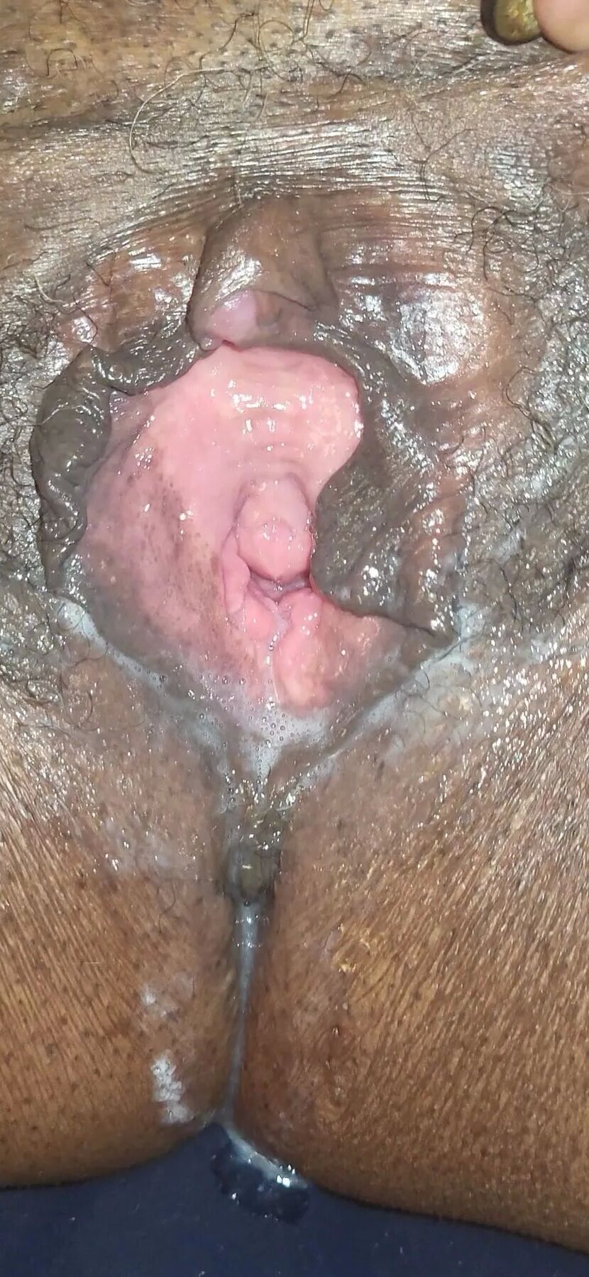 Cream Pies