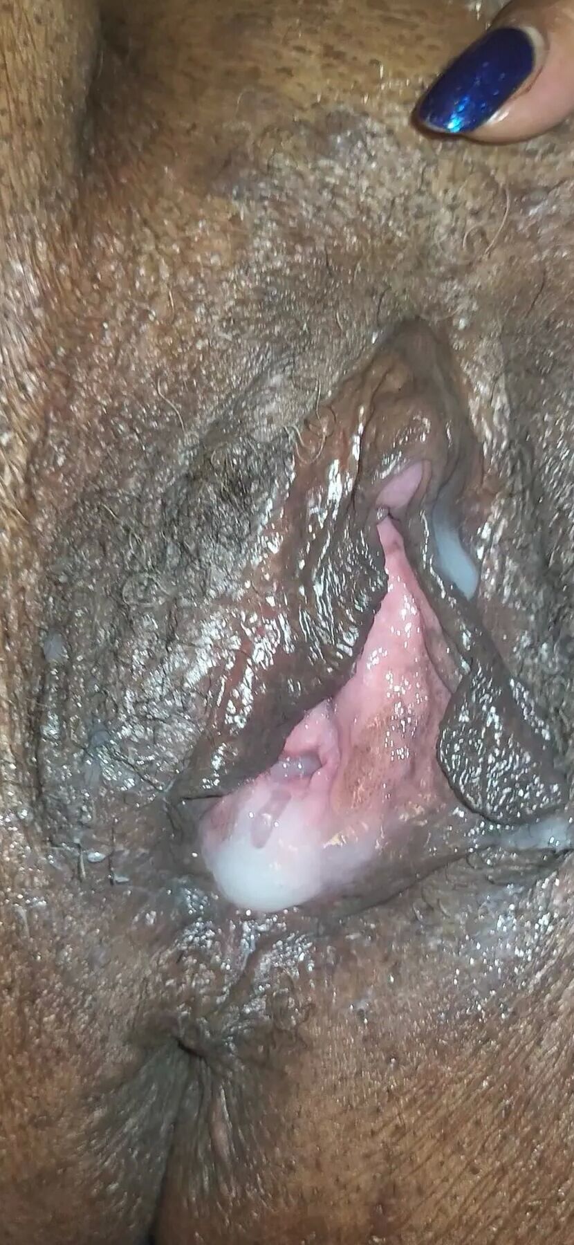 Cream Pies