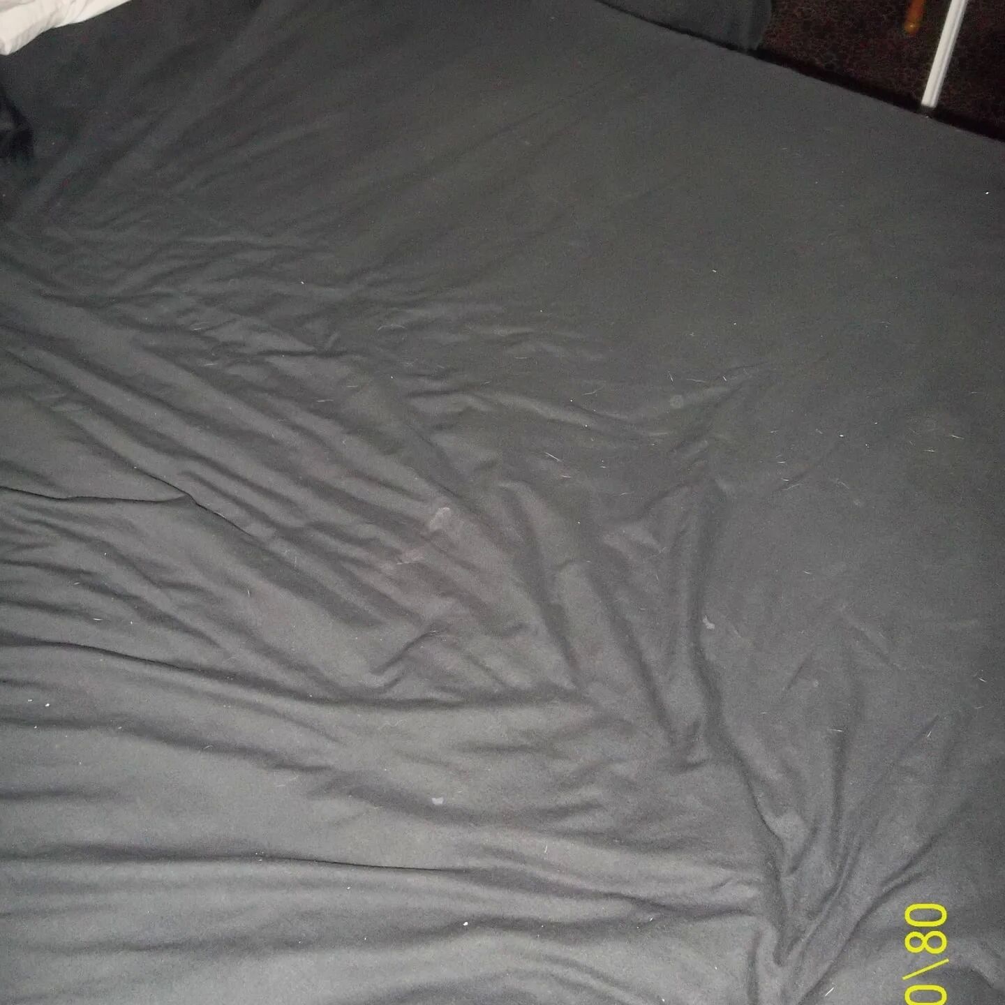 SHIRLEY SLUT 251