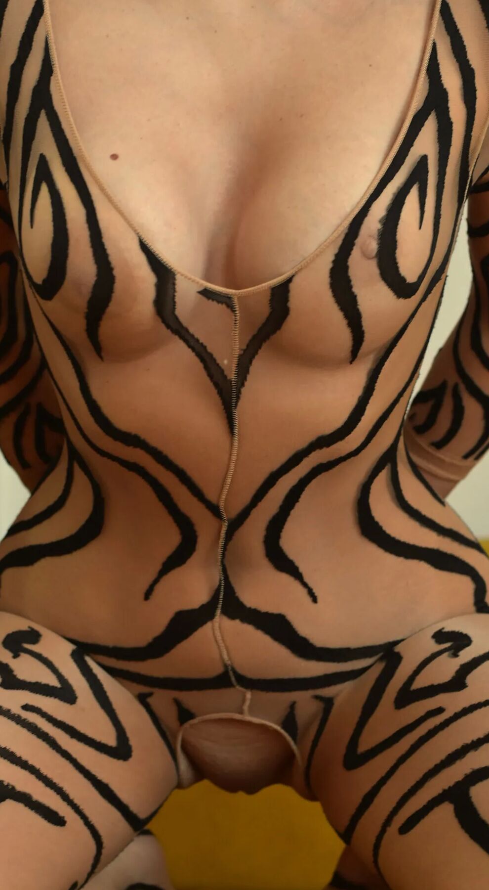 New Mesh Suit